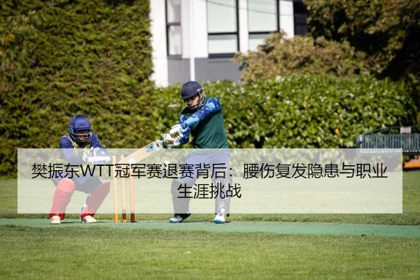 樊振东WTT冠军赛退赛背后：腰伤复发隐患与职业生涯挑战